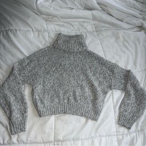 Cropped Turtle Neck Sweater